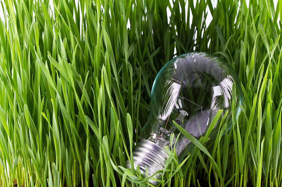 glödlampa som ligger i gräset